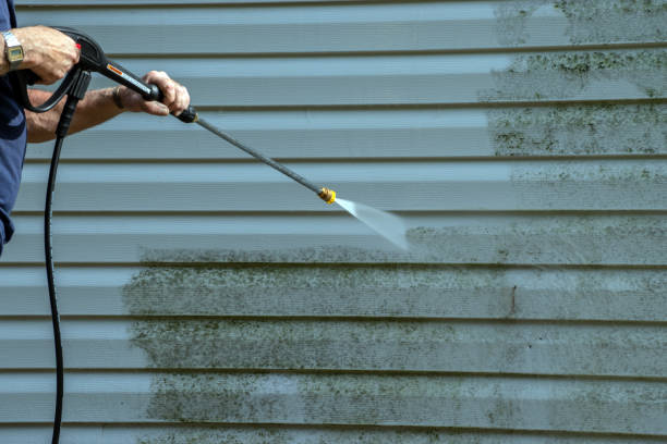 Best Pressure Washing Driveway  in Princeton, WI